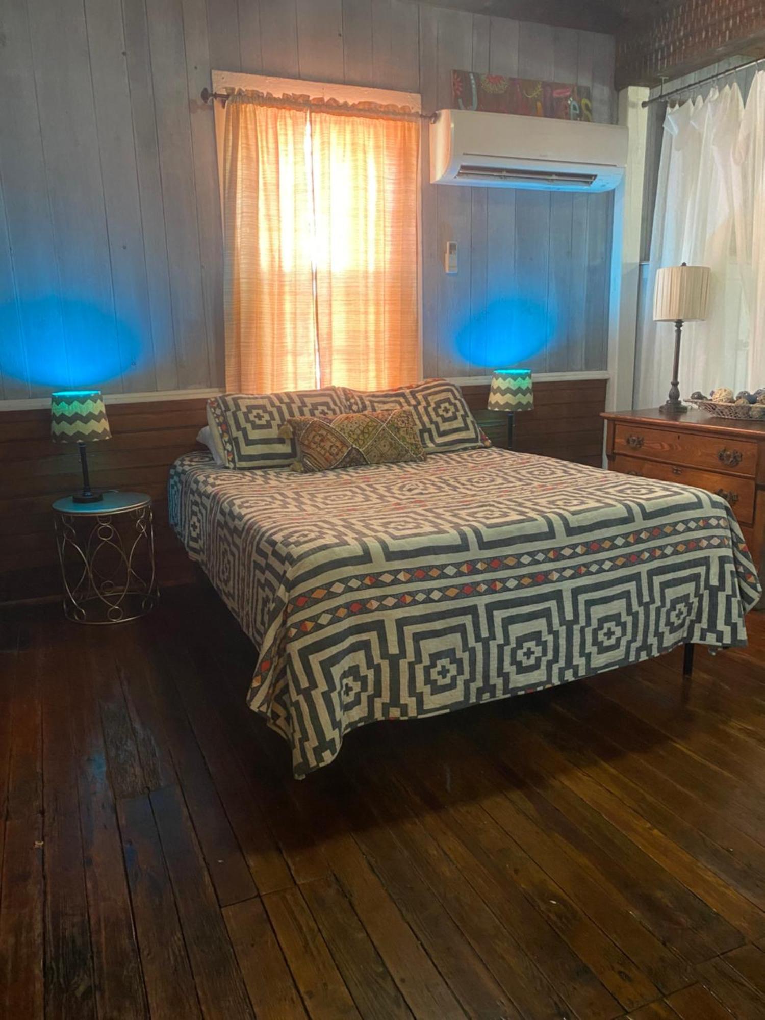 Stella Blue - 10 Savannah